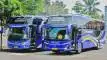 buspriwisata.id - foto bus pariwisata citra kencana e