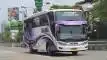 buspariwisata.id - foto bus pariwisata falisha e