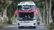 buspriwisata.id - foto bus pariwisata trans talia f