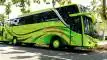 buspariwisata.id - foto bus pariwisata sinar mas trans d