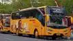buspriwisata.id - foto bus pariwisata budi luhur sejati d