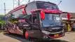 buspariwisata.id - foto bus pariwisata MDC trans f
