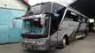 buspariwisata.id - foto bus pariwisata pelita baru f