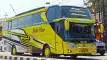 buspriwisata.id - foto bus pariwisata padi mas e
