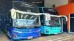buspariwisata.id - foto bus pariwisata nafit trans a