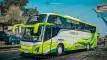 buspariwisata.id - foto bus pariwisata kalingga jaya g