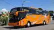 buspariwisata.id - foto bus pariwisata sidiq trans f