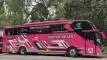 buspariwisata.id - foto bus pariwisata hasyim asyari e