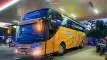 buspariwisata.id - foto bus pariwisata mpremiere f