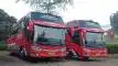 buspriwisata.id - foto bus pariwisata adibuzz b