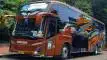 buspriwisata.id - foto bus pariwisata trans talia b