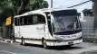 buspariwisata.id - foto bus pariwisata royal java b