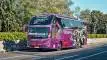 buspariwisata.id - foto bus pariwisata midas nusantara b