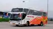 buspriwisata.id - foto bus pariwisata mega citra wisata b